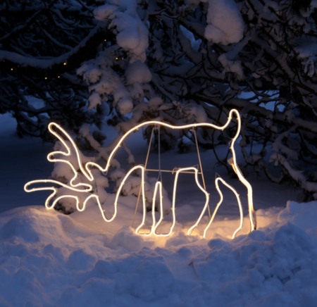 Decorațiune LED tip neon – Ren de Crăciun, 100 × 52 cm, 8 moduri de iluminare, alb cald, IP44 [3]