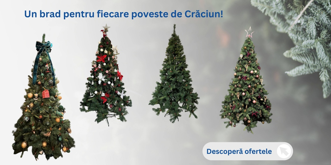 BRAZI SI DECORATIUNI DE CRACIUN