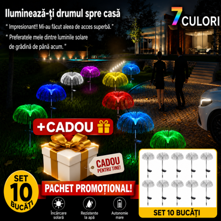 LAMPI SOLARE - CADOU + SET 10 LAMPI SOLARE TIP MEDUZA 7 culori rgb