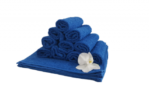 Set 10 prosoape pentru bucatarie, 30x30 cm, 100% bumbac, Albastru [1]