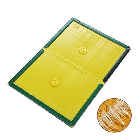 Produse cu transport gratuit – livrare rapidă și fără costuri - Set 3 capcane cu lipici pentru soareci si insecte - TRANSPORT GRATUIT