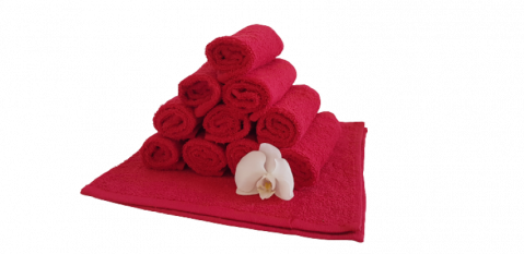 Home & Deco - Set 5 prosoape pentru bucatarie, 30x30 cm, 100% bumbac, Rosu