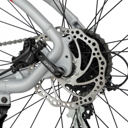 Bicicleta MTB-HT, C2959AH Schimbator Shimano Altus RD-M310-L, 24 Viteze, Cadru Aluminiu, Roti 29 Inch, Frane Hidraulice, Carpat, Gri cu Design Rosu [4]