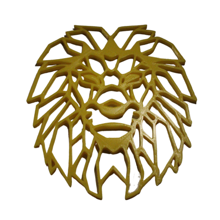 Tablou fara rama, Cap de leu [3]