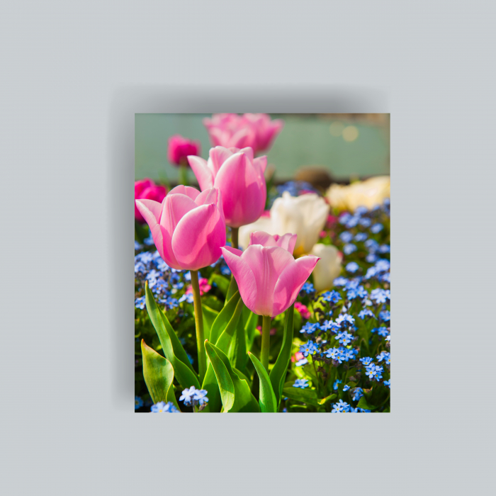 Tablou canvas cu trandafir pink [1]