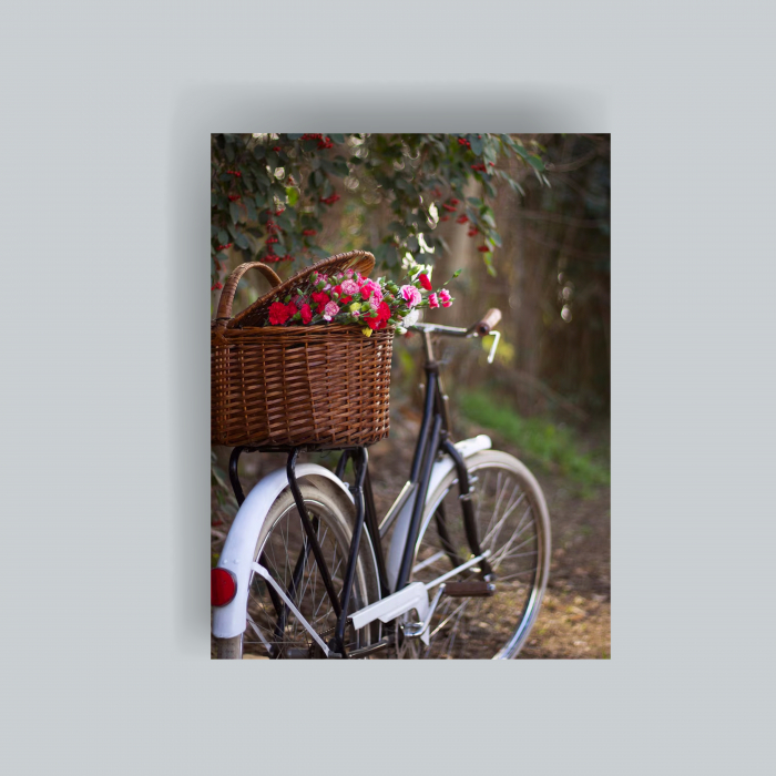 Tablou canvas cu garoafa pe bicicleta [1]