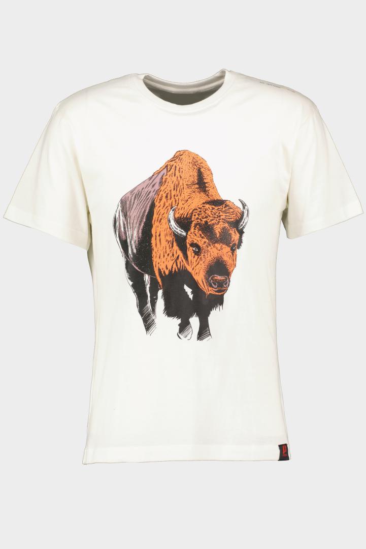 TRICOU ZIMBRU [1]