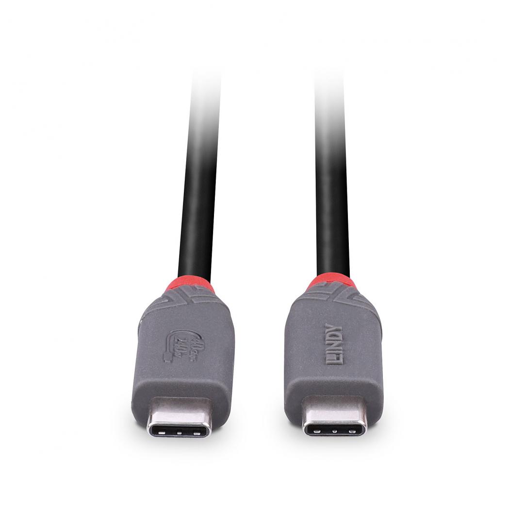 Cablu Lindy 0.8m USB4 Type C 40Gbps Anth [3]