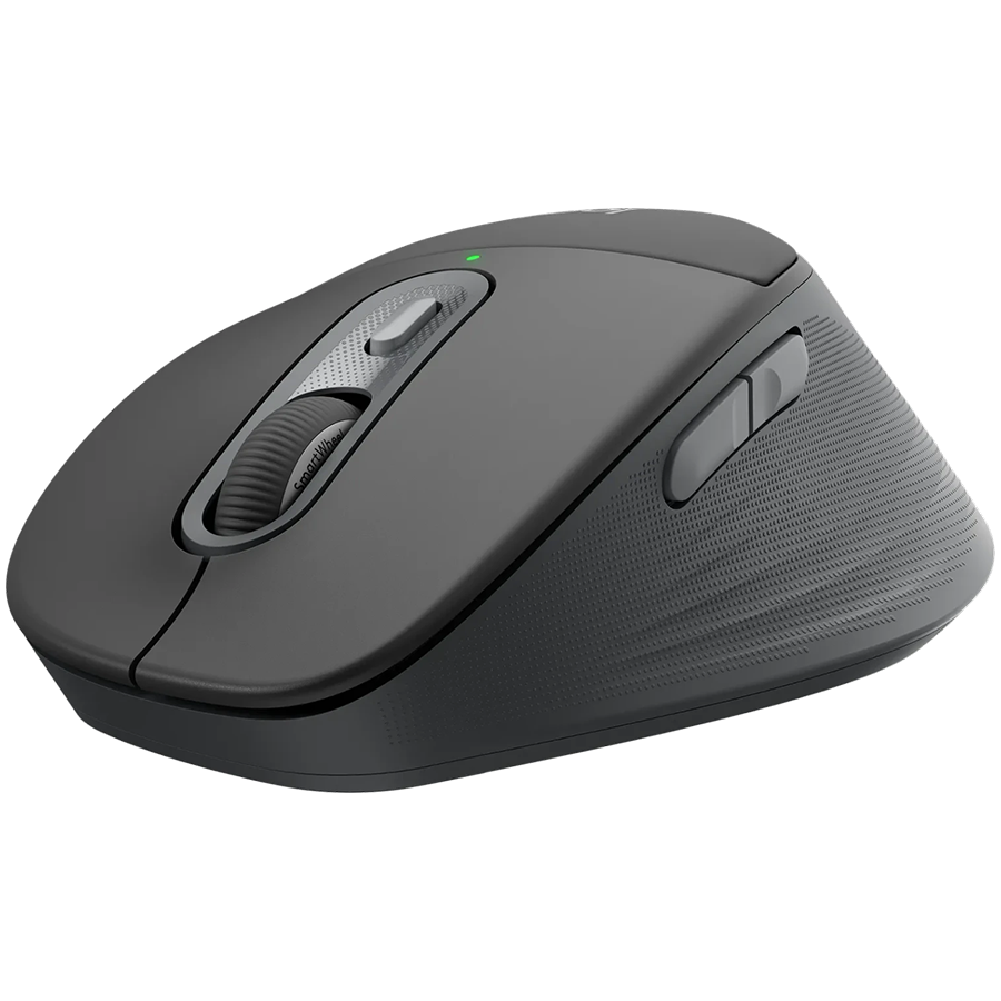 LOGITECH M850 L for Business - GRAPHITE - 2.4GHZ/BT - EMEA28i-935 [2]
