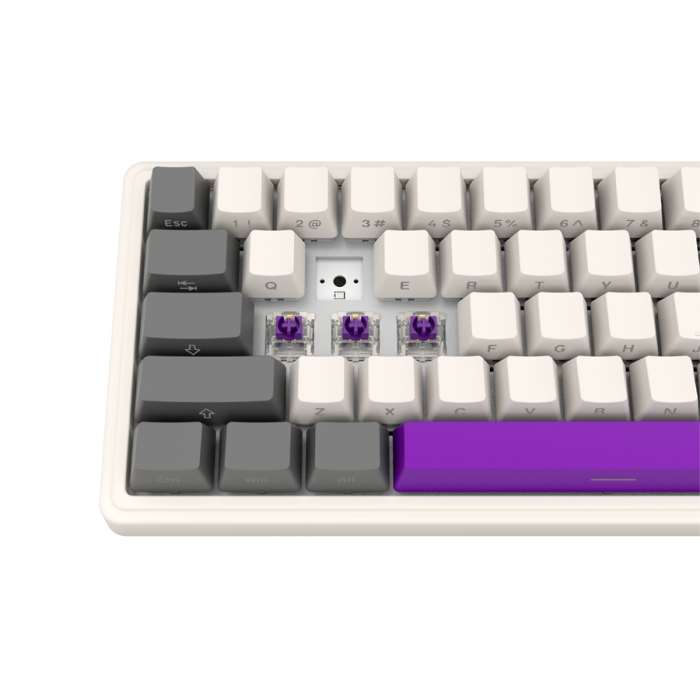 LORGAR KBP70MW, Wireless 65% Mechanical Gaming Keyboard Pro, Beige, EN layout [8]