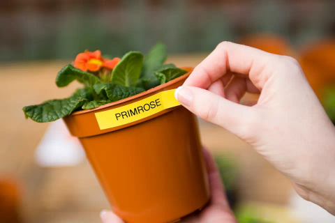 Banda Etichete Brother TZeS641, Laminata, Negru pe  Galben, 18mm/8m [3]