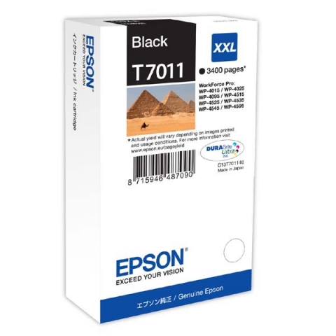 Cartus Cerneala - Cartuș cerneală Epson T7011, negru (black), original, 3400 pagini, 63.2 ml