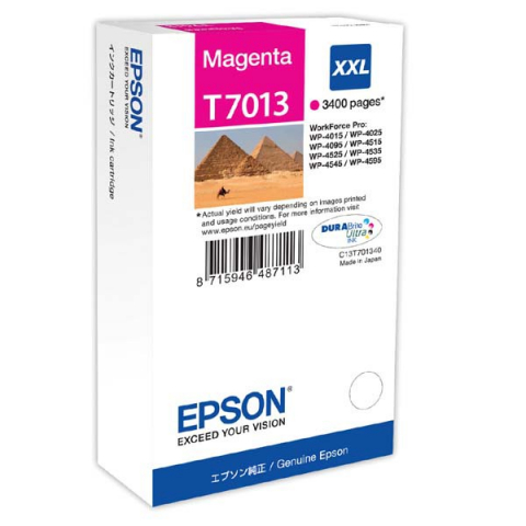 Cartus Cerneala - Cartus cerneala Epson WorkForce Pro WP T7013, roz  (magenta), original, 3400 pagini, 34.2 ml