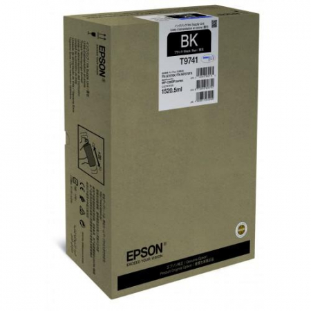 Cartus Cerneala - EPSON PRO BLACK XXL INKJET CART. C869R