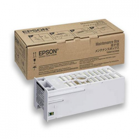 Cartuse & Tonere - EPSON T699000 PRINTER CLEANING CARTRIDGE