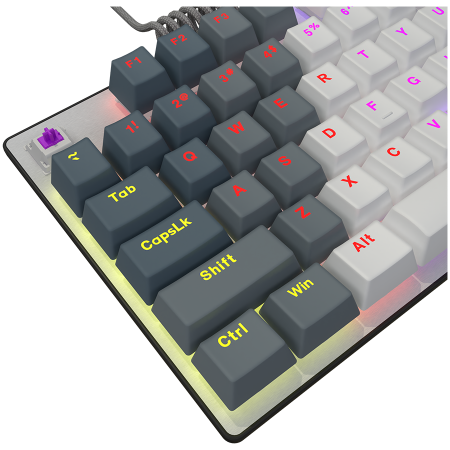 LORGAR Azar 514TKL, Wired RGB mechanical gaming keyboard, white, EN layout [7]