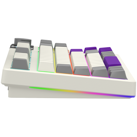 LORGAR KBP70TKLW, Wireless TKL Mechanical Gaming Keyboard Pro, Beige, EN layout [3]