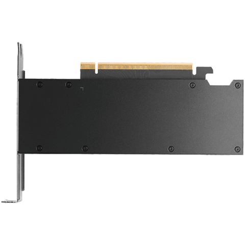 PNY NVIDIA RTX PRO 2000 Blackwell OEM Version, PCI-Express x16 Gen 5.0, Dual Slot, 16 GB GDDR7 ECC 128-bit, 4x Mini DP 2.1b, HDCP 2.2 and HDMI 2.0 support with opt. Adapter [2]
