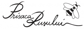Prisaca Rusului