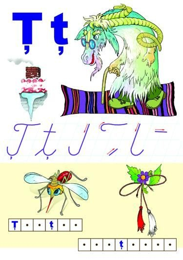 Alfabetul limbii române (set 31 planse) [5]