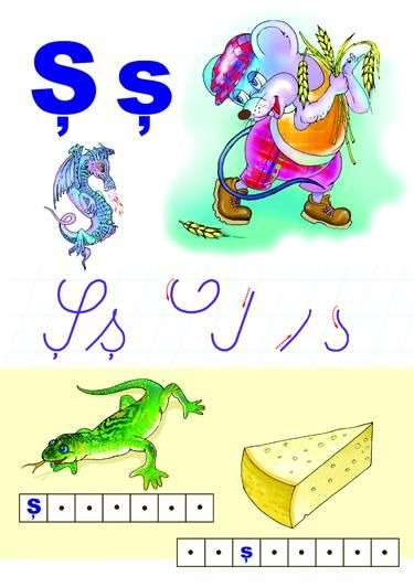 Alfabetul limbii române (set 31 planse) [7]