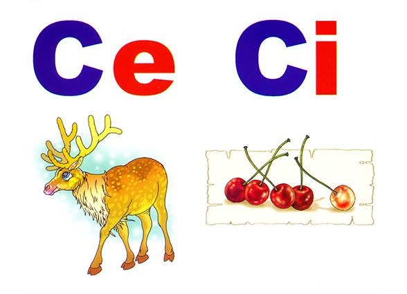 Alfabetul limbii române (set 31 planse) [8]