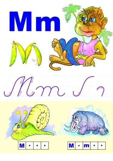 Alfabetul limbii române (set 31 planse) [13]