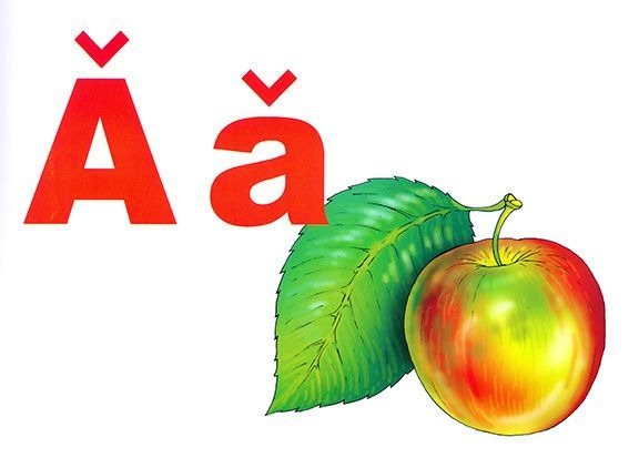 Alfabetul limbii române (set 31 planse) [4]