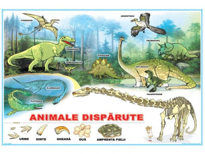 Animalele dispărute / Curtea fermierului [2]