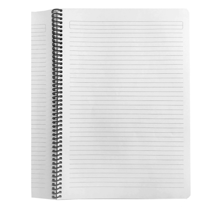 Caiet cu spirala A4 [4]