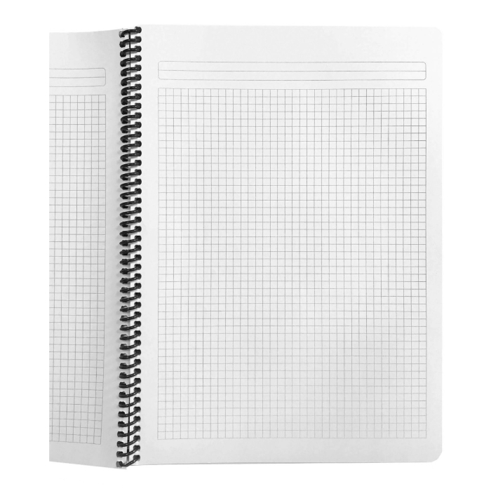 Caiet cu spirala A4 [5]