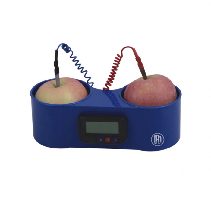 Ceas cu baterie de fructe [1]