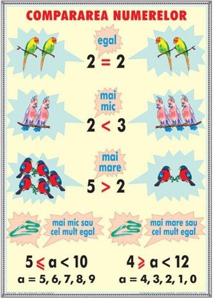 Compararea numerelor / Unitaţii de măsurat lungimi (DUO) [2]