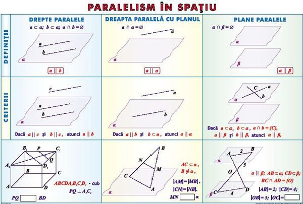 Elemente de teoria probabilităţilor / Paralelism în spaţiu (duo) [2]