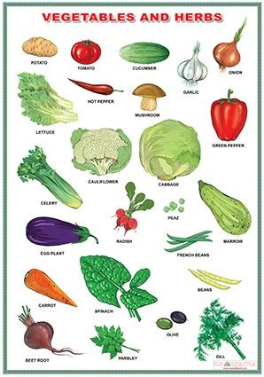 Fruit/Vegetables and herbs (DUO) [2]