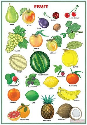 Fruit/Vegetables and herbs (DUO) [2]