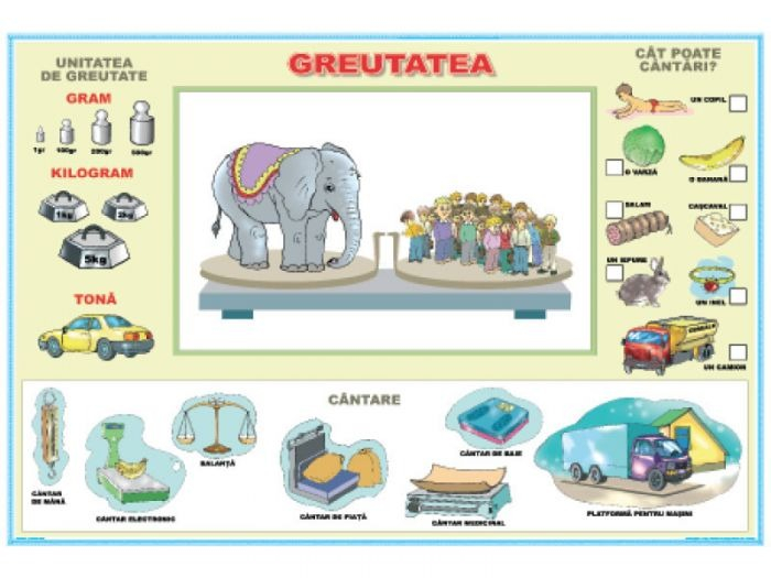 Greutatea / Înălţimea şi adâncimea (DUO) [2]