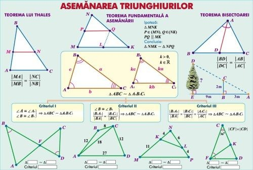 Inecuaţii cu o necunoscută/Asemănarea triunghiurilor (duo) [2]