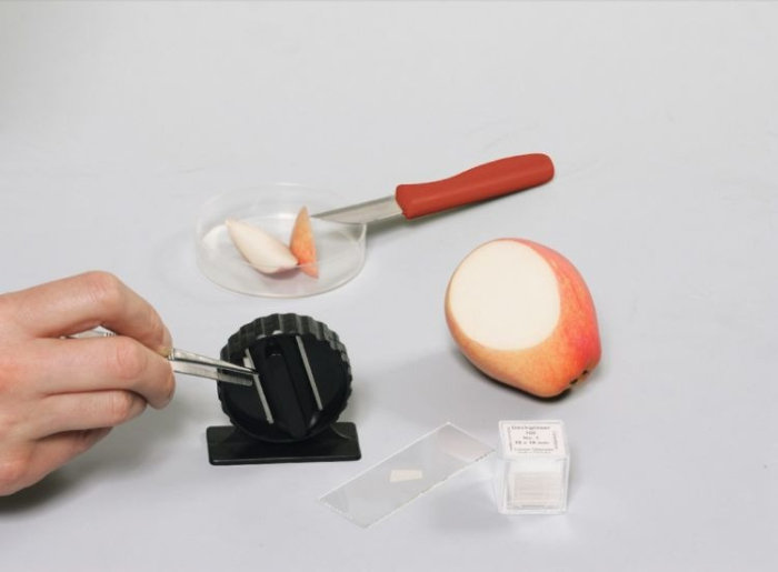Mini-Kit. Biologie [2]