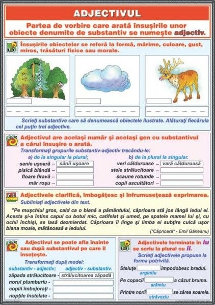 Ortografierea grupurilor: chi /ci şi che/ce \ Adjectivul (DUO) [2]