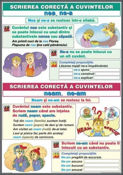 Ortografierea grupurilor: ne-a / nea şi ne-am / neam \ Scrierea cuvintelor cu consoane duble: cc şi nn (DUO) [2]