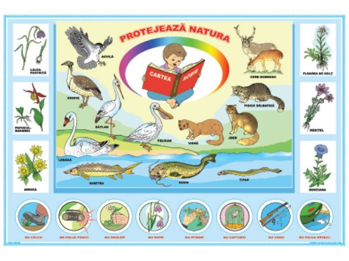 Protejează natura / Mijloace de transport [2]