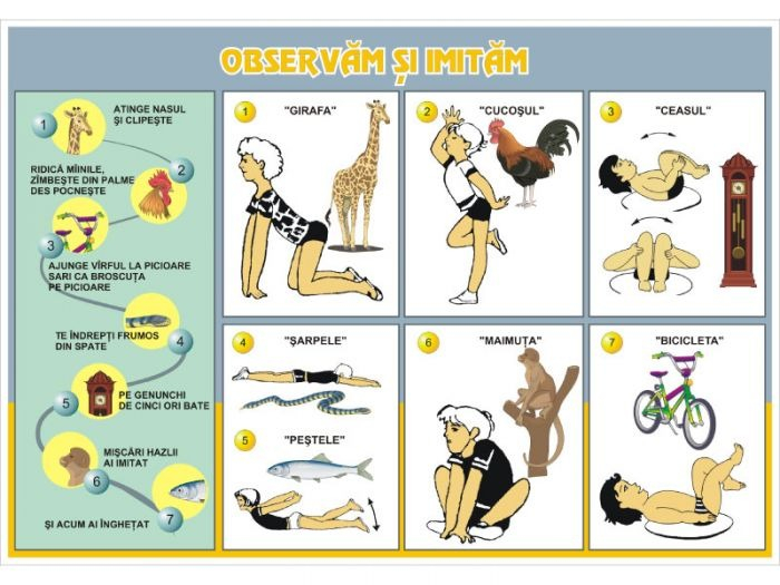 Sănătate pentru toţi / Observăm şi imităm (DUO) [2]