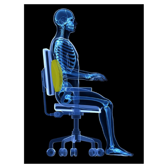 Suport ergonomic textil pentru spate DESQ 1341 Mesh [3]