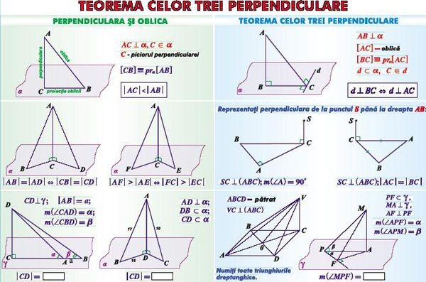 Teorema celor trei perpendiculare/ Sfera circumscrisă corpurilor de rotaţie (duo) [1]