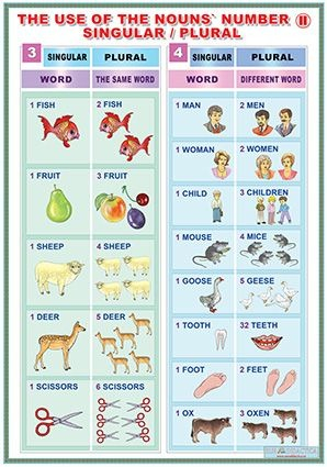The use of a nouns'number singular-plural I /The use of a nouns'number singular-plural II (DUO) [2]