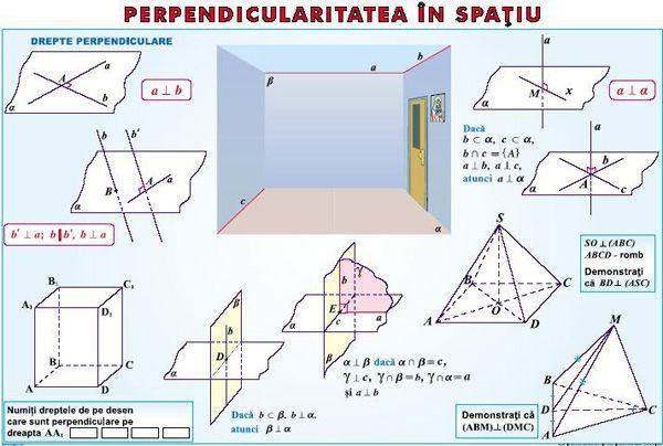 Transformări de grafice/ Perpendicularitatea în spaţiu (duo) [2]