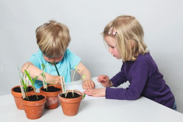 Trusa Experimentam natura si mediul inconjurator [7]