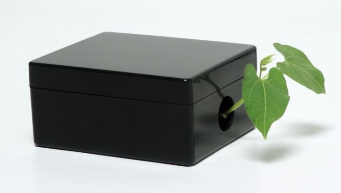 Trusa. Germinatia [5]
