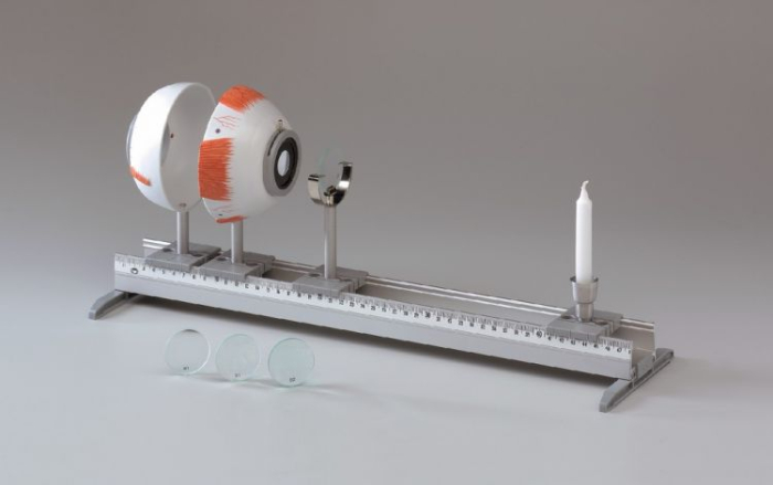 Trusa Ochiul uman-model functional [2]